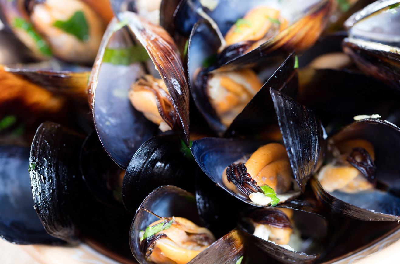 Mussels photo