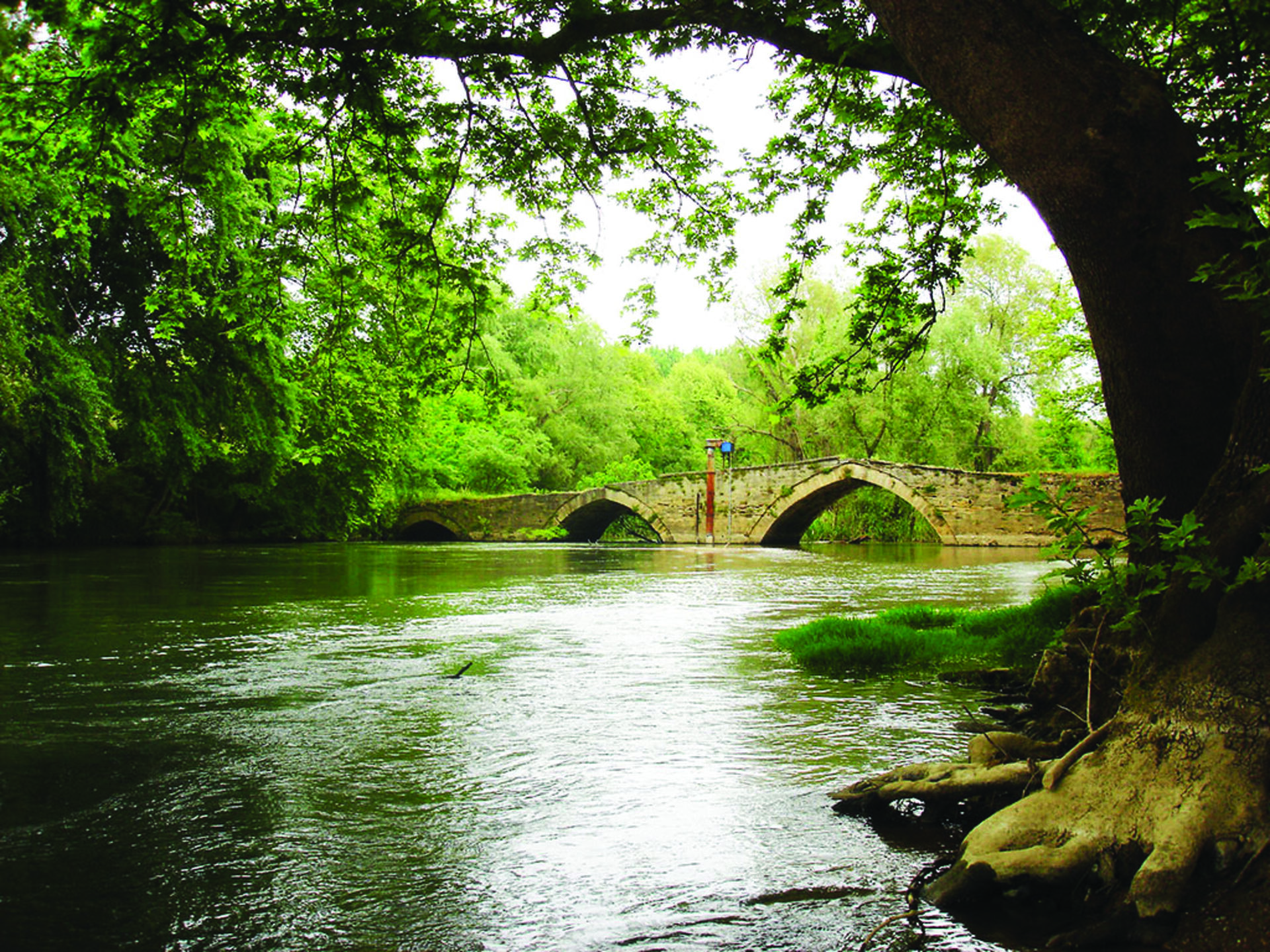 Aggista Station Bridge photo