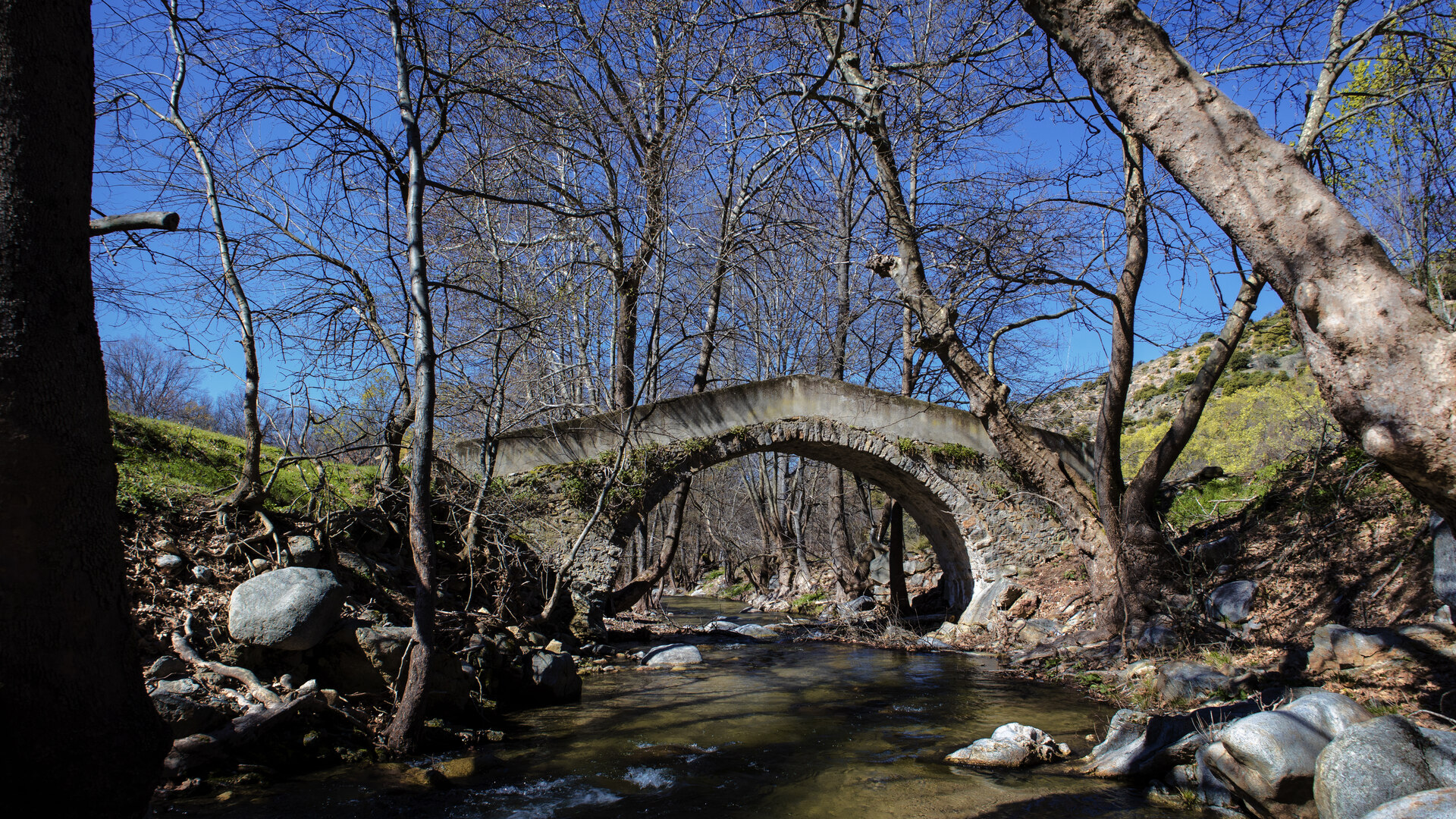 Stone Bridges of Achladochori photo